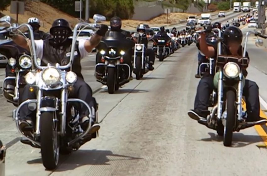 What You Should Know About Motorcycle Clubs